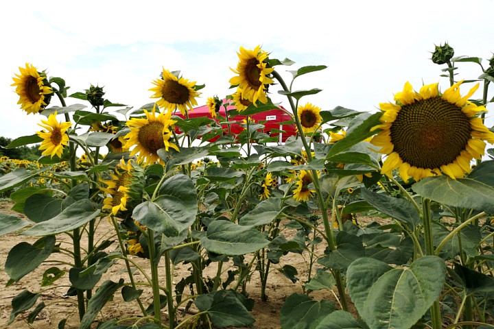 палатка 3х4,5